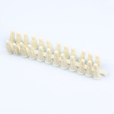 25MM X 6MM Plastic Wall Plugs Custom Color And High Strength